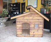Caseta de perro con tres aguadas.