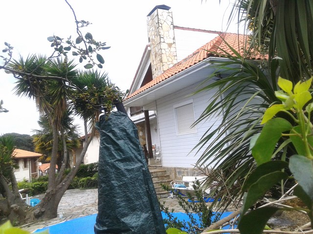 Vivienda de dos plantas, de entramado.